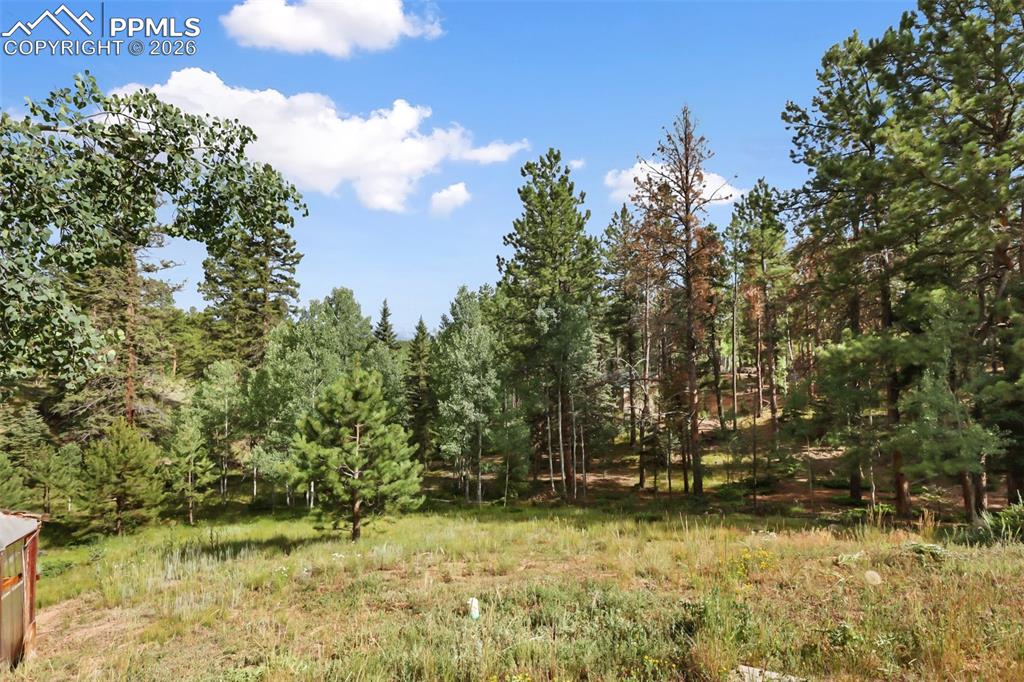 410 Rangeview Road Divide CO 80814