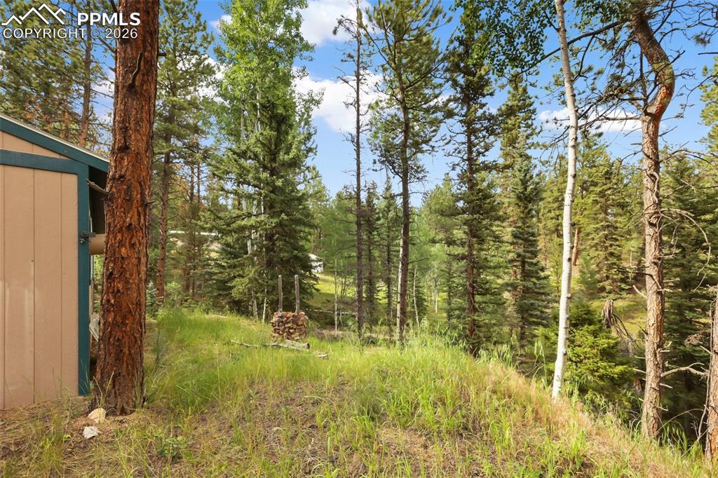 410 Rangeview Road Divide CO 80814