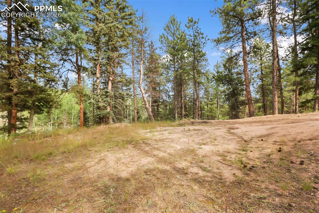 410 Rangeview Road Divide CO 80814