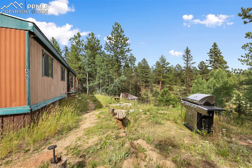 410 Rangeview Road Divide CO 80814