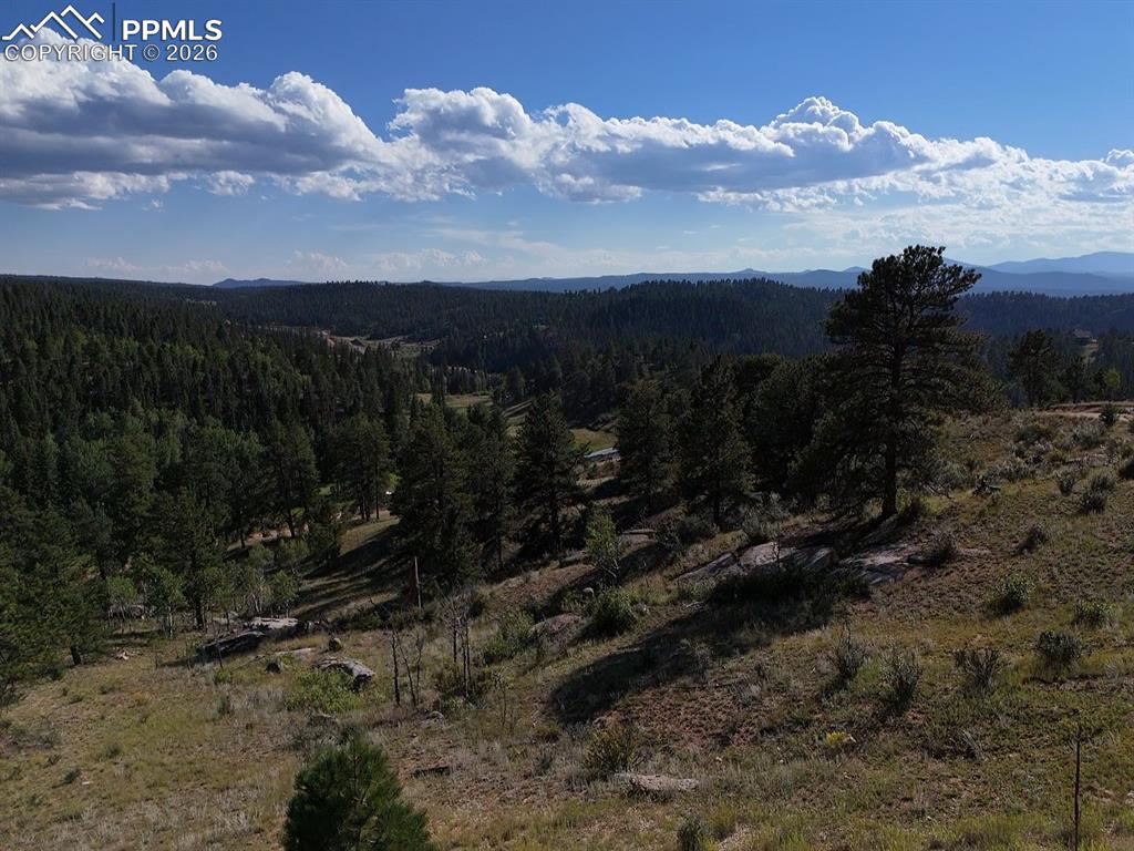 4687 W Highway 24 Florissant CO 80816