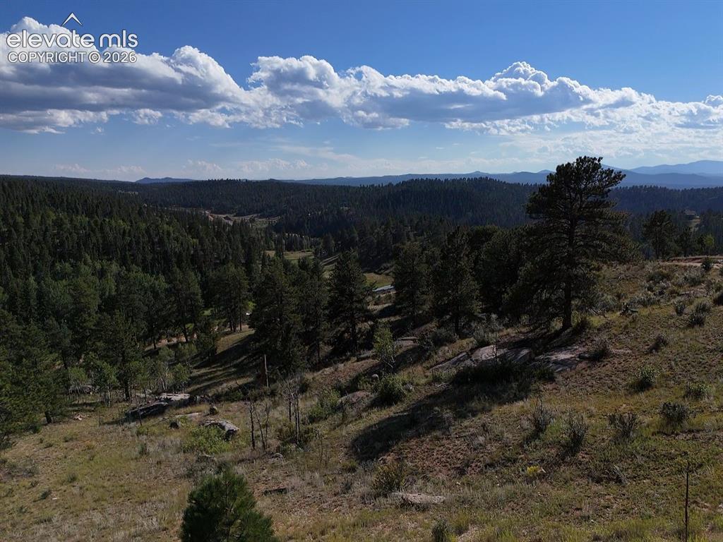 4687 W Highway 24 Florissant CO 80816