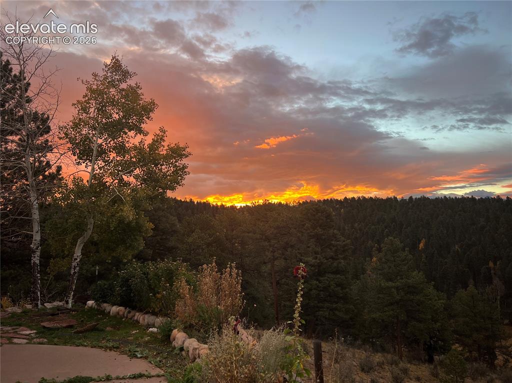 4687 W Highway 24 Florissant CO 80816