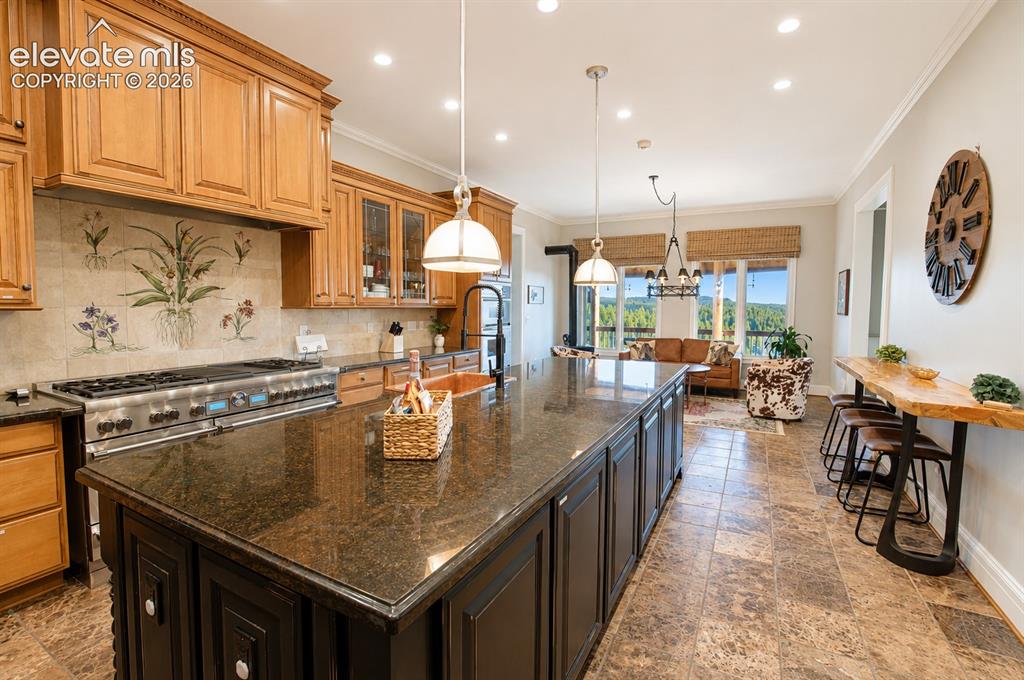 4687 W Highway 24 Florissant CO 80816