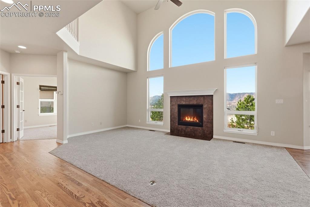 16497 Curled Oak Drive Monument CO 80132