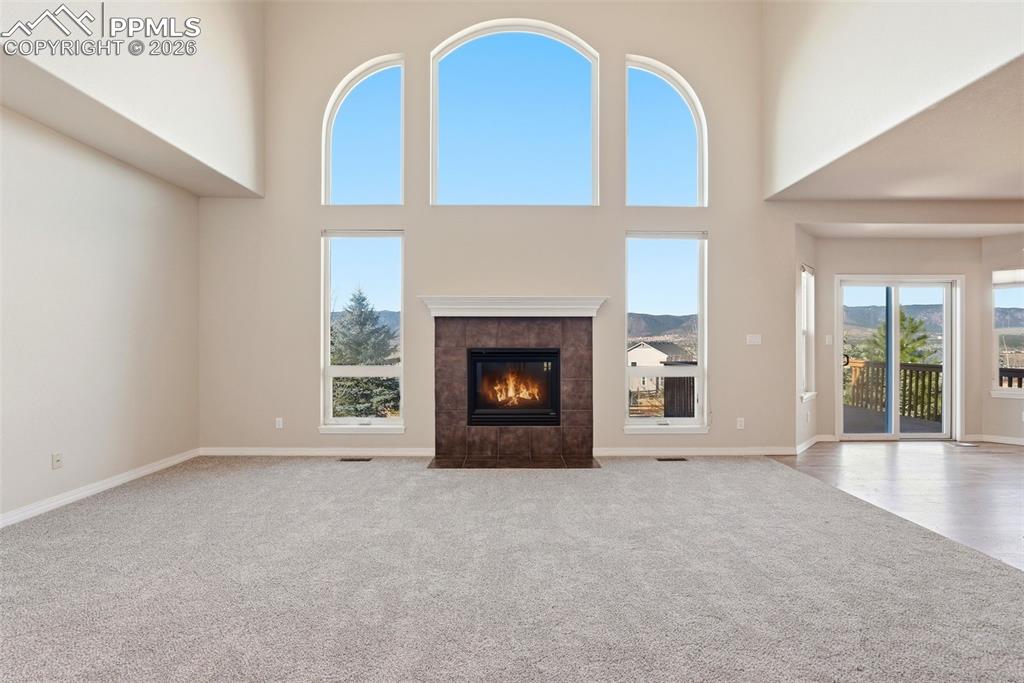 16497 Curled Oak Drive Monument CO 80132