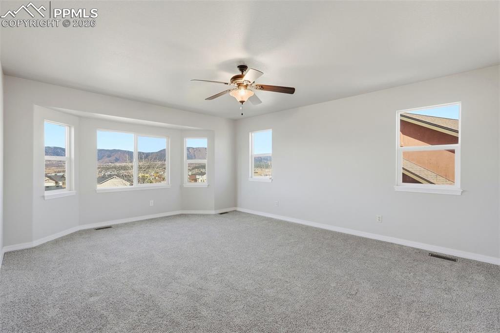 16497 Curled Oak Drive Monument CO 80132
