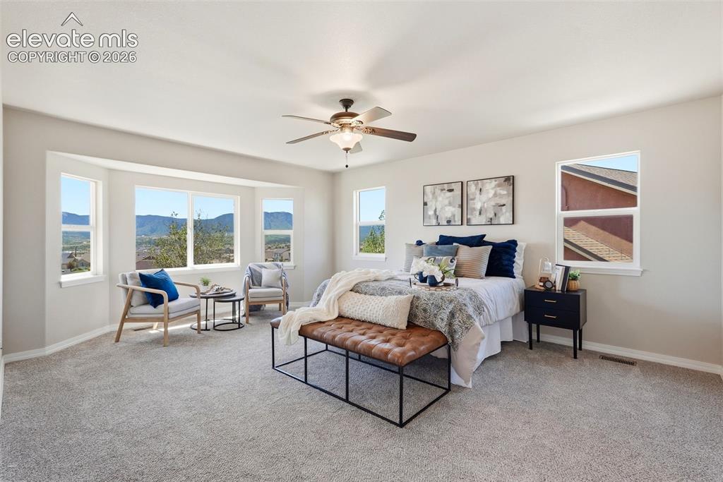 16497 Curled Oak Drive Monument CO 80132