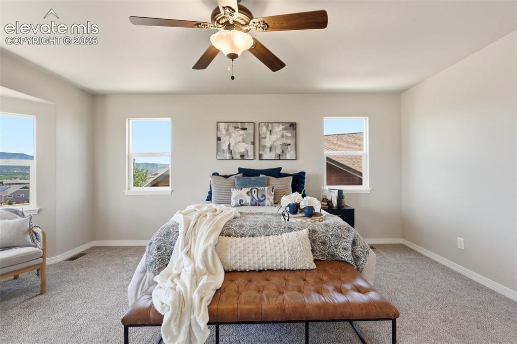 16497 Curled Oak Drive Monument CO 80132