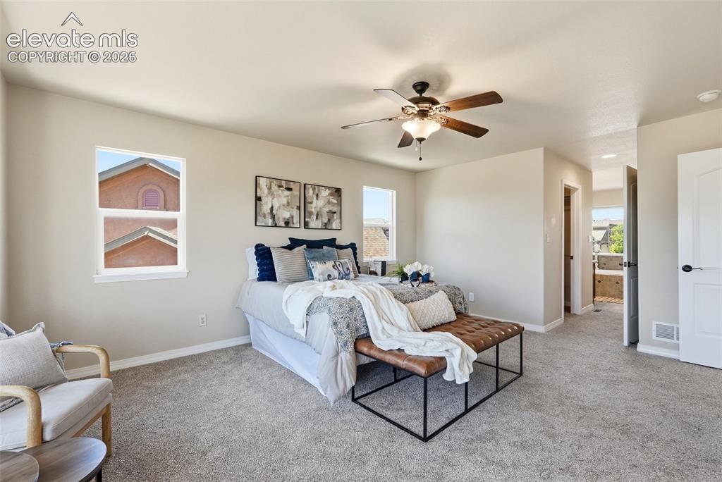 16497 Curled Oak Drive Monument CO 80132