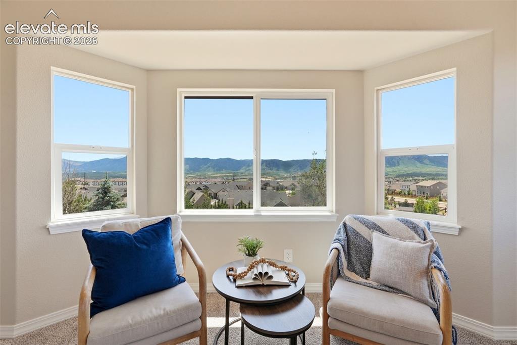 16497 Curled Oak Drive Monument CO 80132