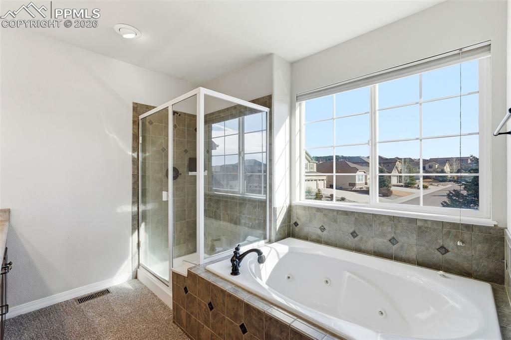 16497 Curled Oak Drive Monument CO 80132
