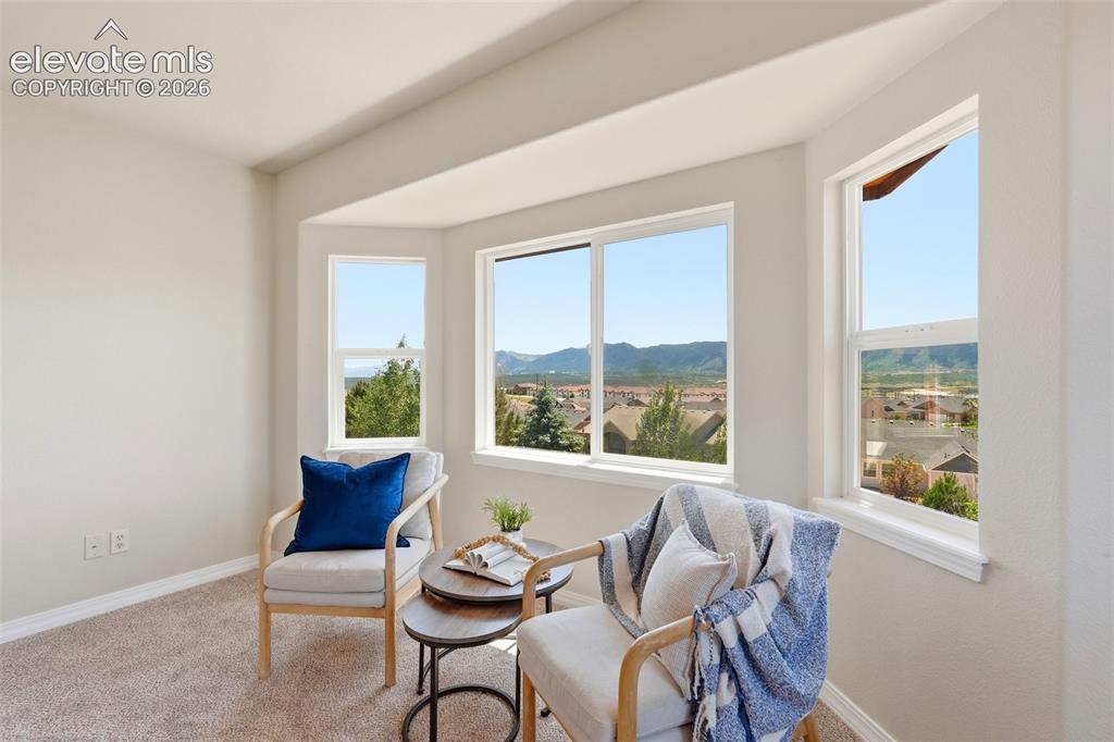 16497 Curled Oak Drive Monument CO 80132