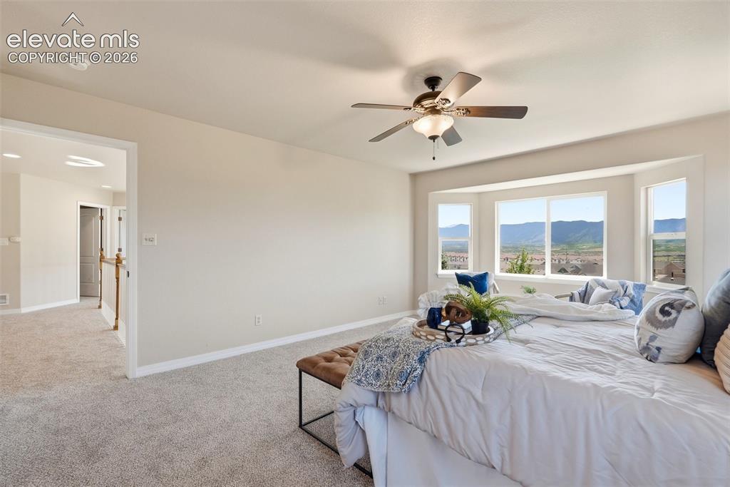 16497 Curled Oak Drive Monument CO 80132