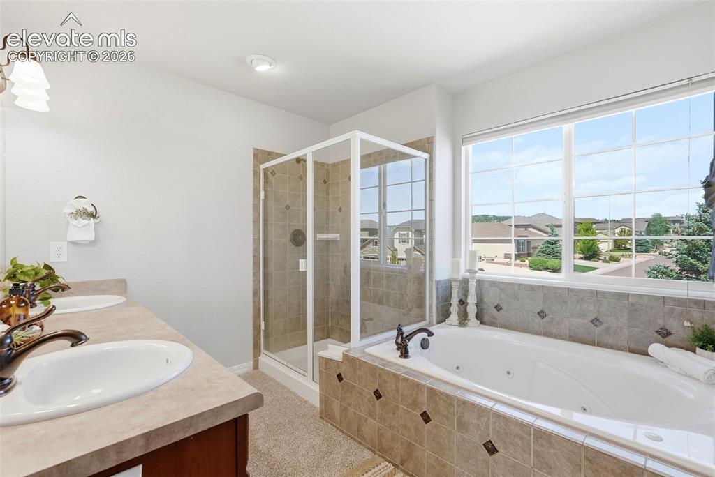 16497 Curled Oak Drive Monument CO 80132