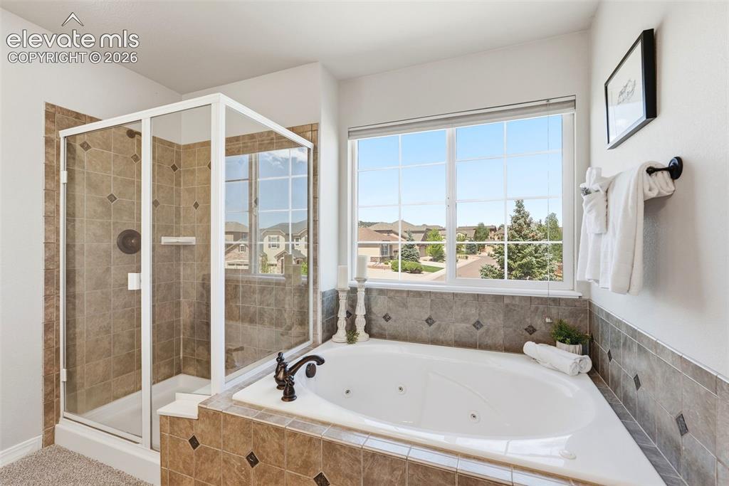 16497 Curled Oak Drive Monument CO 80132