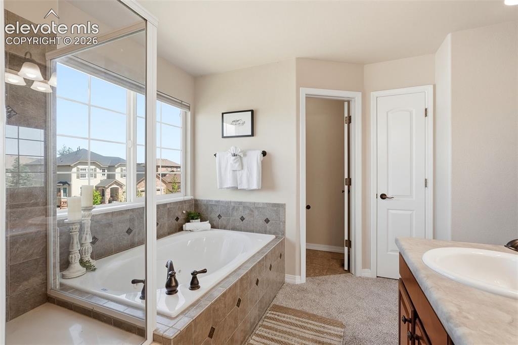 16497 Curled Oak Drive Monument CO 80132