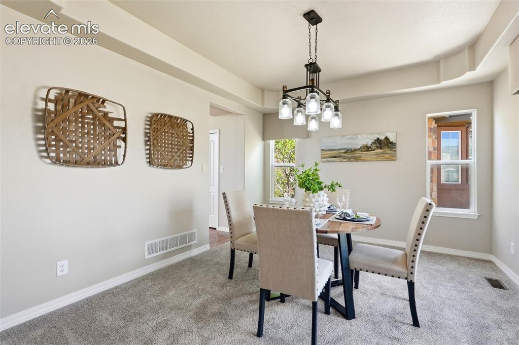 16497 Curled Oak Drive Monument CO 80132