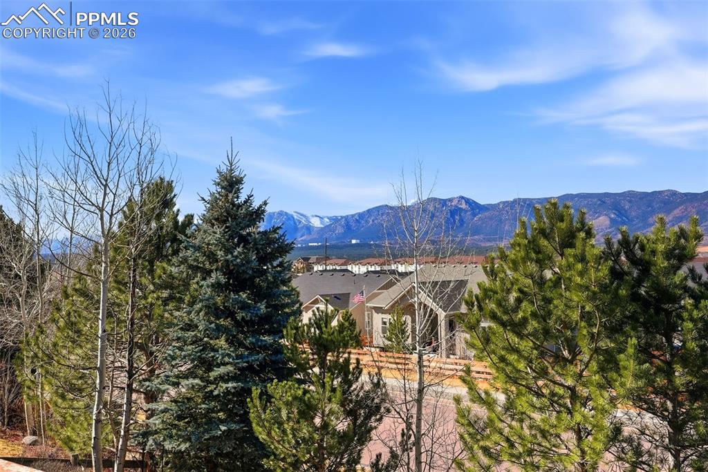 16497 Curled Oak Drive Monument CO 80132