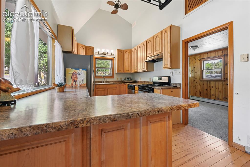 924 Spruce Haven Drive Woodland Park CO 80863