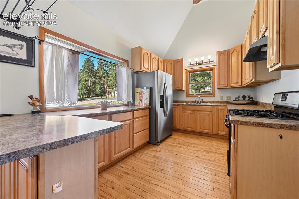 924 Spruce Haven Drive Woodland Park CO 80863
