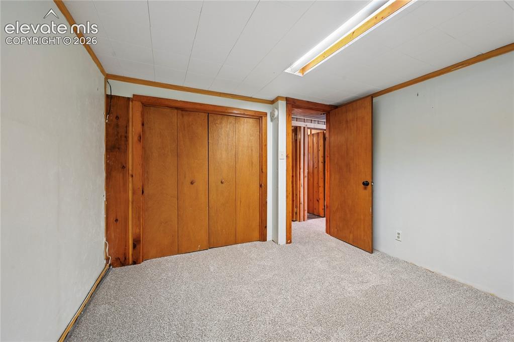 924 Spruce Haven Drive Woodland Park CO 80863