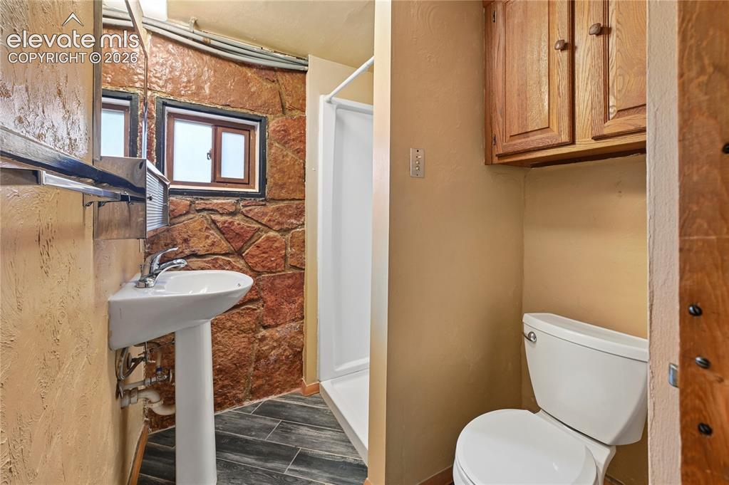 924 Spruce Haven Drive Woodland Park CO 80863