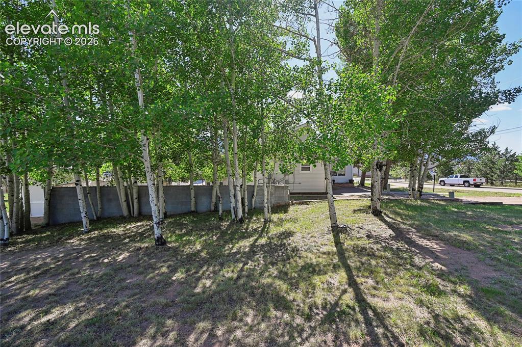 924 Spruce Haven Drive Woodland Park CO 80863