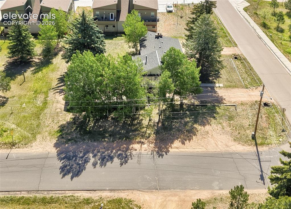 924 Spruce Haven Drive Woodland Park CO 80863