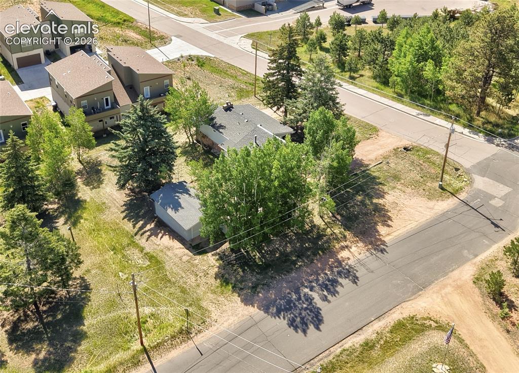 924 Spruce Haven Drive Woodland Park CO 80863