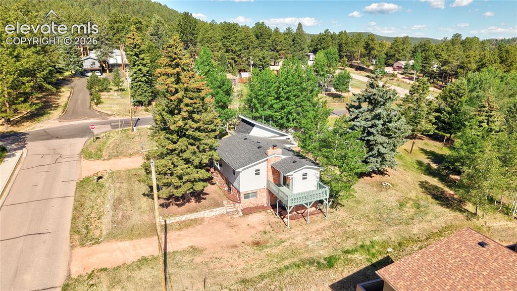 924 Spruce Haven Drive Woodland Park CO 80863