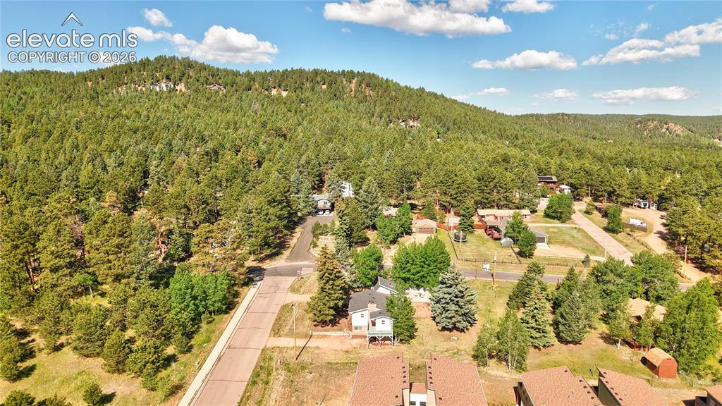 924 Spruce Haven Drive Woodland Park CO 80863