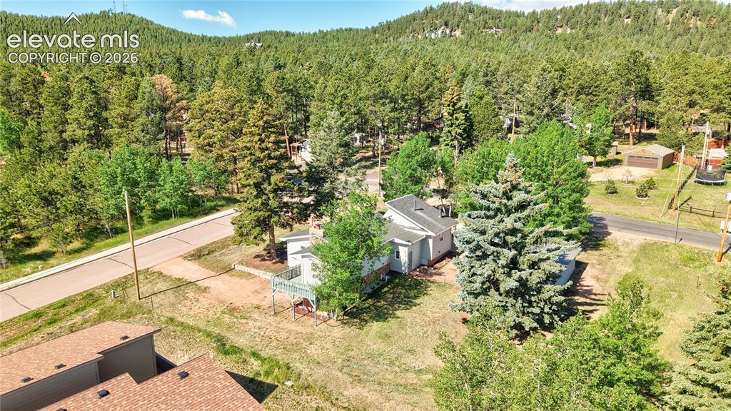 924 Spruce Haven Drive Woodland Park CO 80863