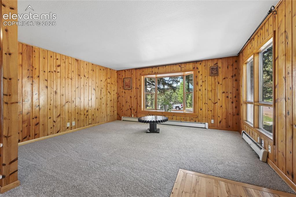 924 Spruce Haven Drive Woodland Park CO 80863