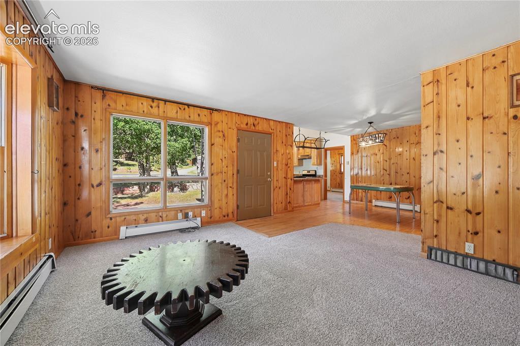 924 Spruce Haven Drive Woodland Park CO 80863