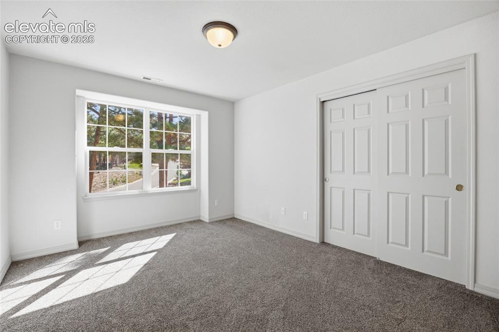 15954 Backwoods Court Colorado Springs CO 80921