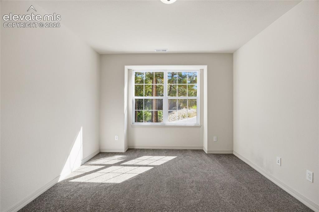 15954 Backwoods Court Colorado Springs CO 80921