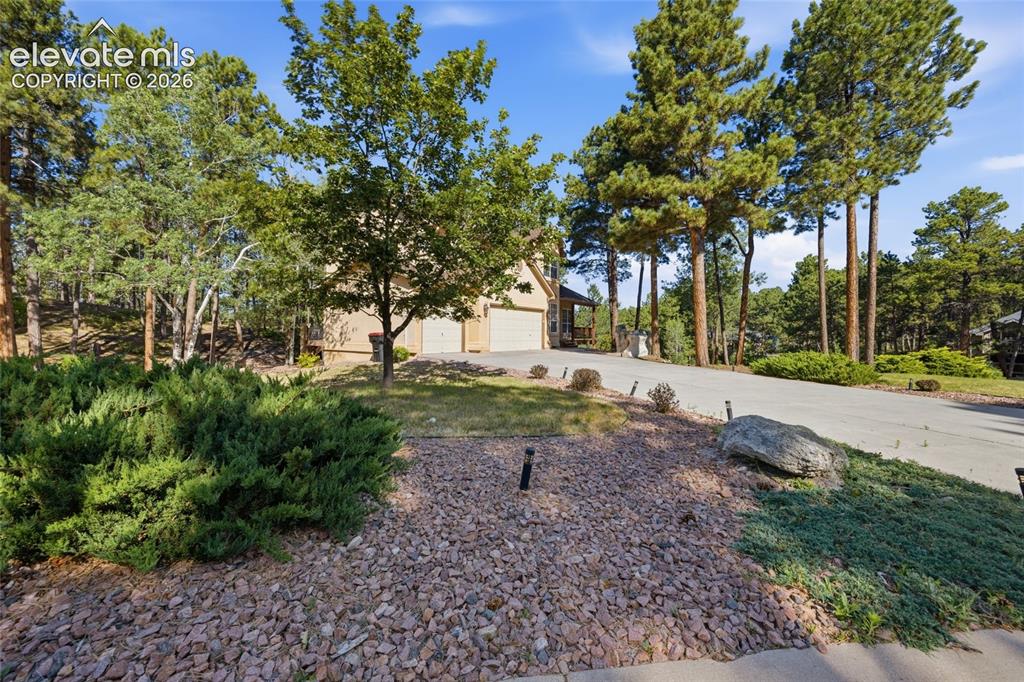 15954 Backwoods Court Colorado Springs CO 80921