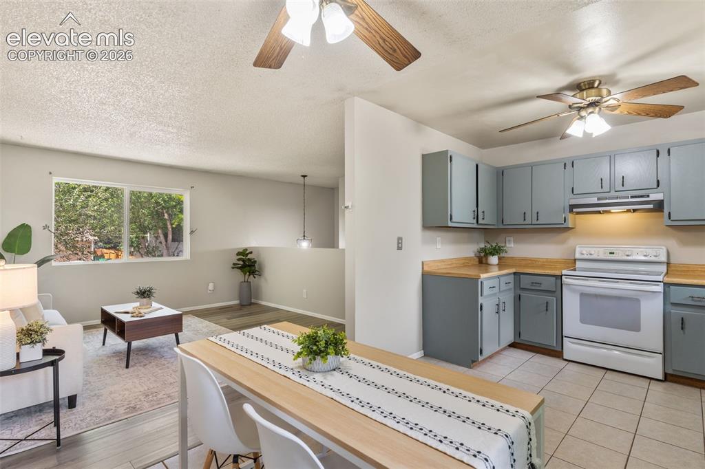 346 Iris Drive Fountain CO 80817