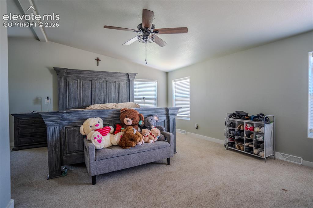 20670 Calle Pacifico Point Fountain CO 80817