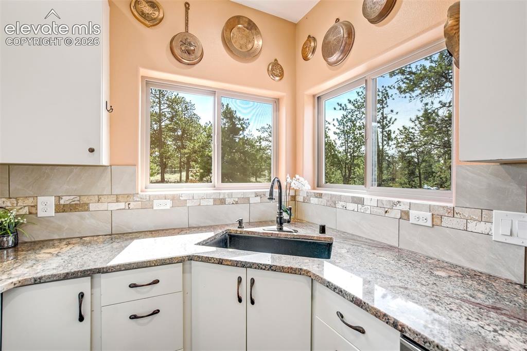 693 Black Mesa Circle Florissant CO 80816