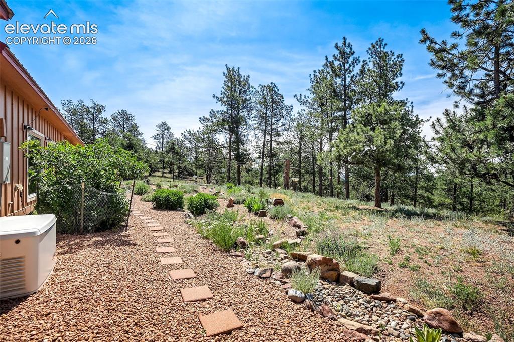 693 Black Mesa Circle Florissant CO 80816
