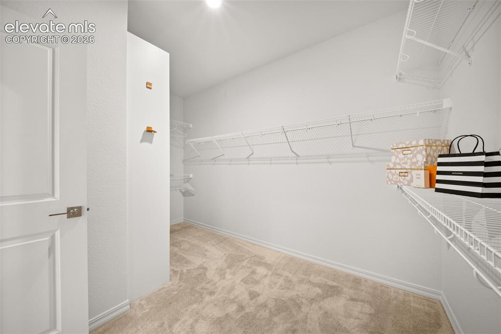 3267 Virga Loop Colorado Springs CO 80904