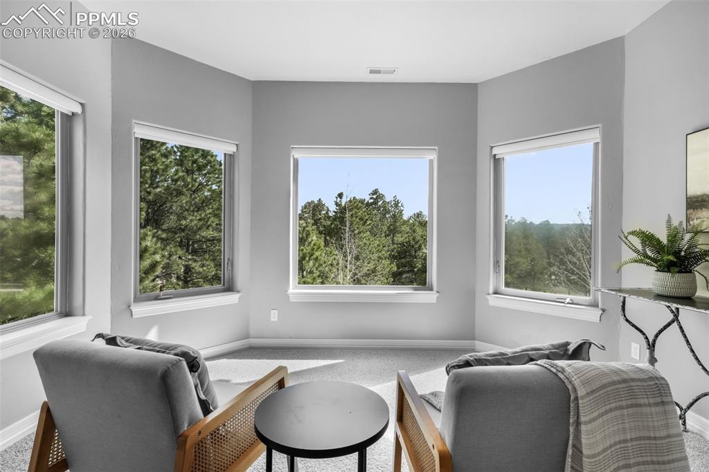 450 E Stirrup Trail Monument CO 80132