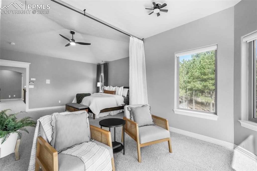 450 E Stirrup Trail Monument CO 80132