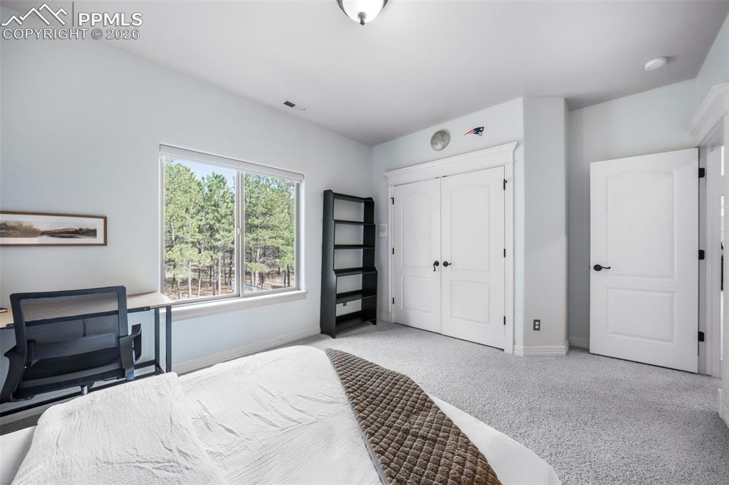450 E Stirrup Trail Monument CO 80132