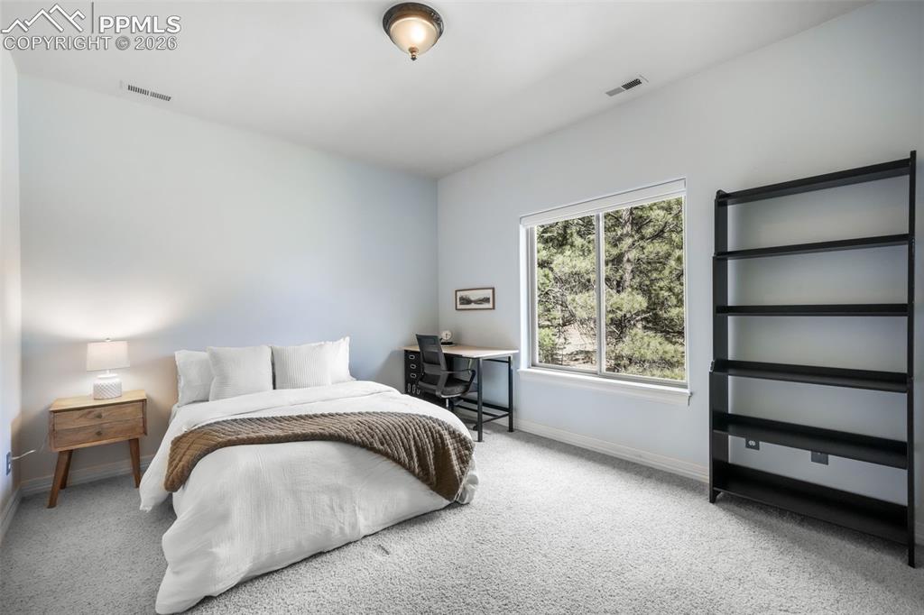 450 E Stirrup Trail Monument CO 80132
