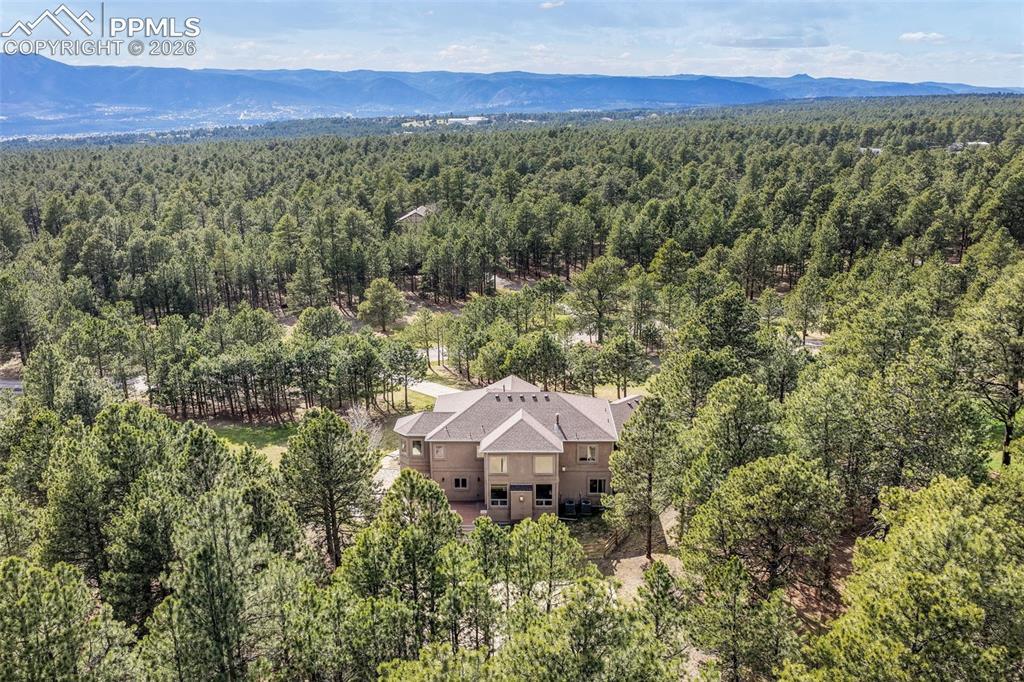 450 E Stirrup Trail Monument CO 80132