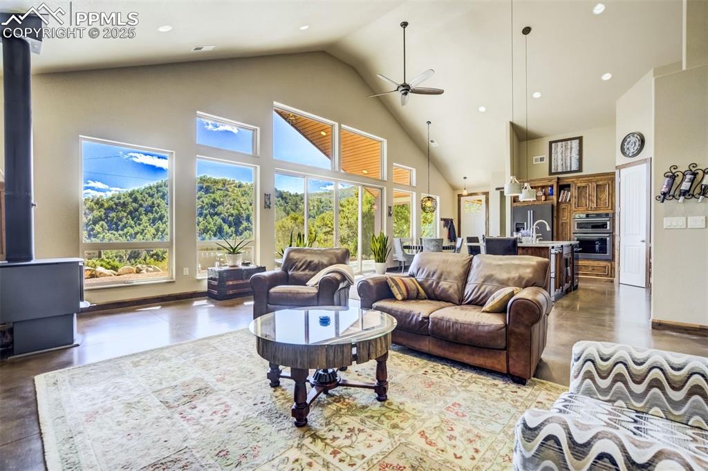 159 Mineshaft Place Cotopaxi CO 81223