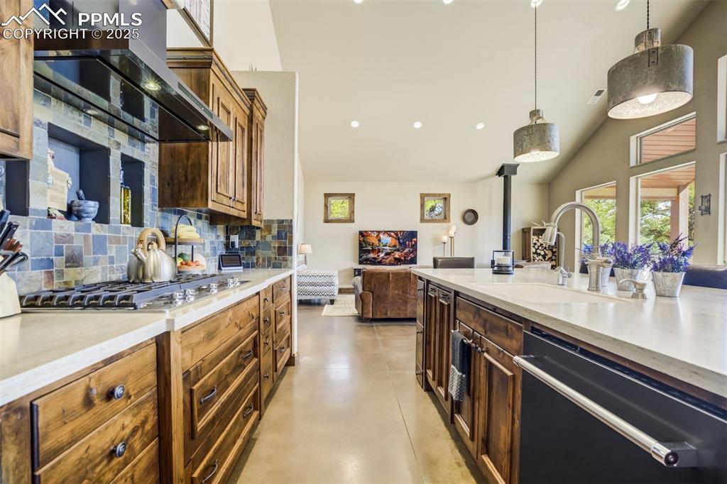 159 Mineshaft Place Cotopaxi CO 81223